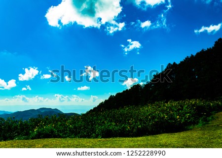 Natural background view