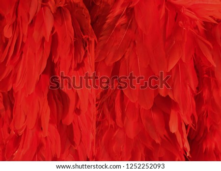 Colorful chicken feathers background texture