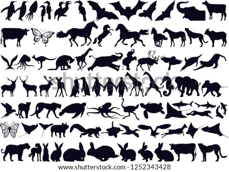 Animals Collection Silhouette