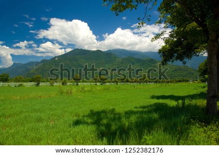 Green alpine grassland and clean blue sky and white clouds, comfortable feeling.