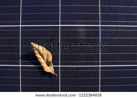 Dry Leaf on Solar Panel Surface Top View