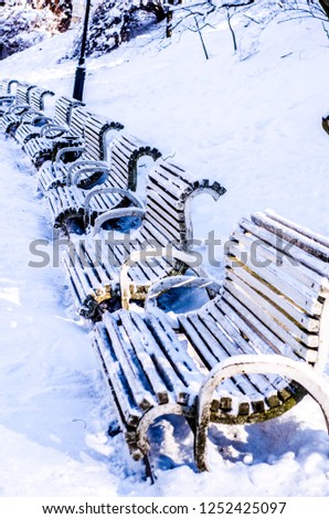 Beautiful banner with park benches in winter on white background for lifestyle design. Winter snow trees view. Snowy landscape.