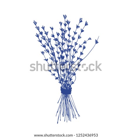 Vintage hand drawn illustration of lavender bouquet. Vector isolated icon. Botanical illustration.
