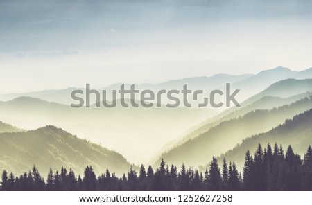 Majestic landscape of summer mountains. A view of the misty slopes of the mountains in the distance. Morning misty coniferous forest hills in fog and rays of sunlight.Travel background.