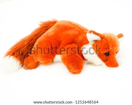 soft toy red-and-white fox lies in the snow, buried in the snow, close-up isolated on a white background