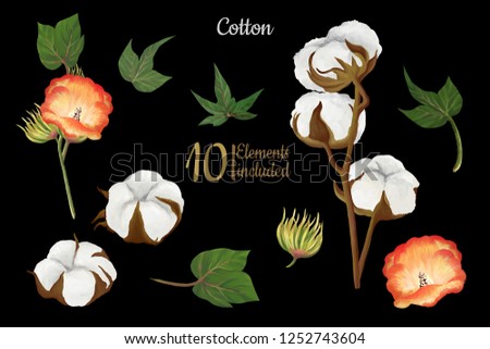 Hand drawn cotton bolls, flowers and leaves set on black background, clip art, scrabooking graphics