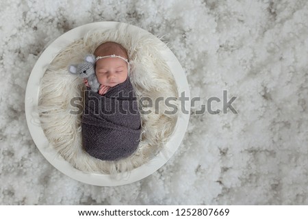 Portrait of adorable sliping newborn baby girl laying in white basket with knitted toy mouse. Newborn photography. Royalty-Free Stock Photo #1252807669