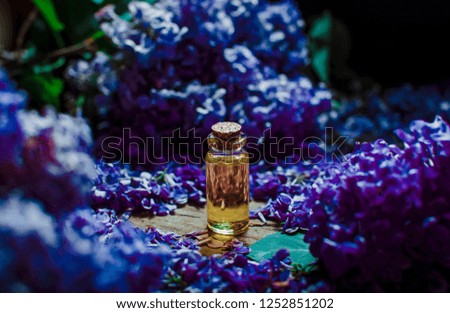 essential oils for aromatherapy treatment
