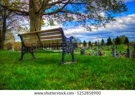 A moss covered bench overlooking a cemetery. Royalty-Free Stock Photo #1252858900