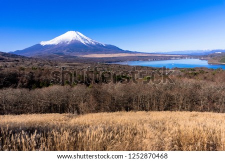 Mount Fuji from lake yamanaka