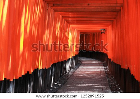 Torii tunnel at Fushimi inari shrine in Kyoto, Japan. Royalty-Free Stock Photo #1252891525