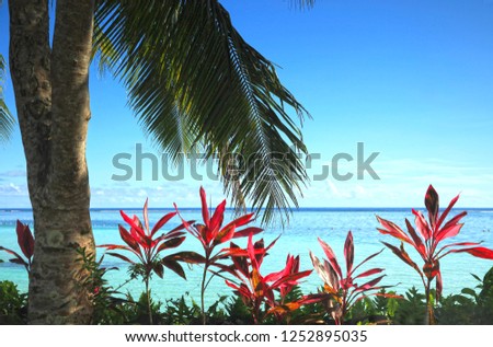 A beautiful beach in Samoa. Royalty-Free Stock Photo #1252895035