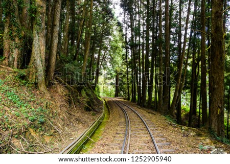 Alishan Forest railway in Taiwan