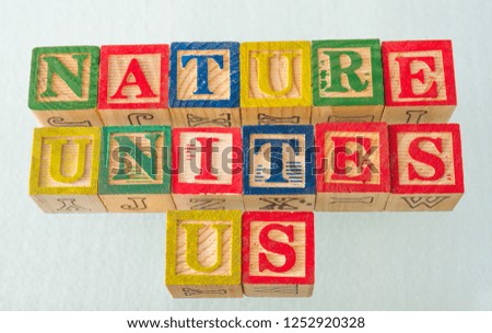 The term nature unites us visually displayed on a white background using colorful wooden blocks image in landscape format