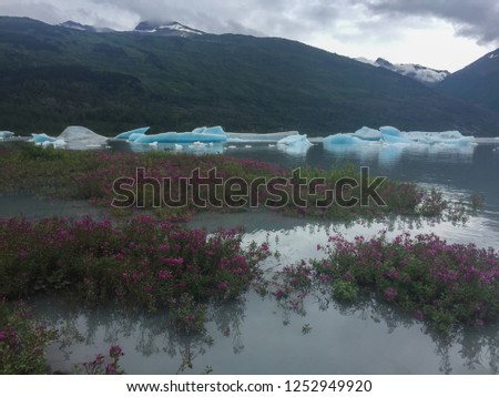 Icebergs float in a quiet wilderness. Royalty-Free Stock Photo #1252949920