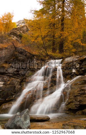 
Autumn in Valsavarenche, Gran Paradiso National Park, Aosta, Aosta Valley, Italy 