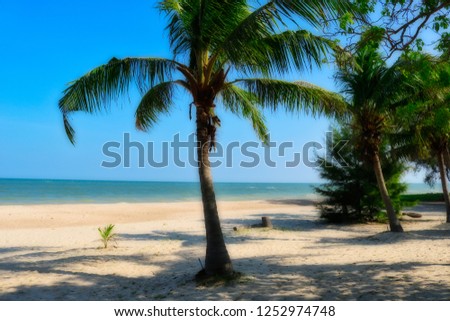 This dreamlike photo shows the sandy beach of Cha am in Thailand. In this picture you can see the sea palm trees and pine trees.