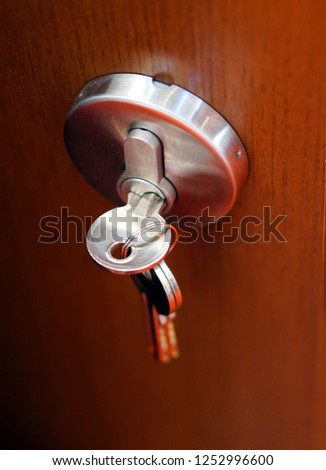 Closeup shot of modern door lock with a key                               