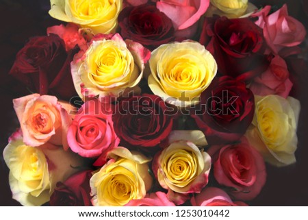 Bouquet of roses. Can be used for postcards, photo wallpapers, background.