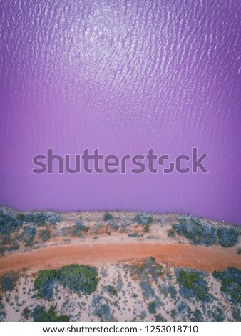 Pink lake in Western Australia.