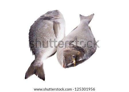 Two dorado fish isolated on white background