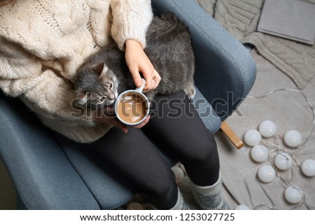 Woman in warm sweater with cute cat sitting in armchair, top view