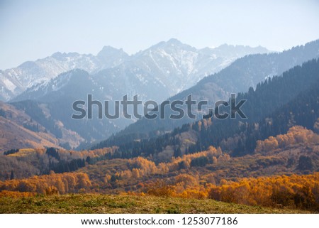 Autumn in Kazakhstan mountain
