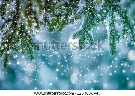 Pine tree branches with green needles covered with deep fresh clean snow on blurred blue outdoors copy space background. Merry Christmas and Happy New Year greeting postcard.