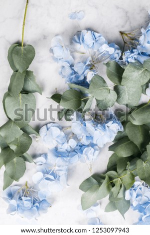 blue hydrangea and eucalyptus on marble background