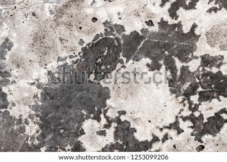 Background of cement concrete floor close-up