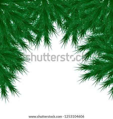 Vector illustration for new year, christmas, green branches of spruce on a white background, copy space, eps 10, frame for inscriptions