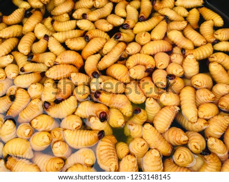 Worms on the market for eating