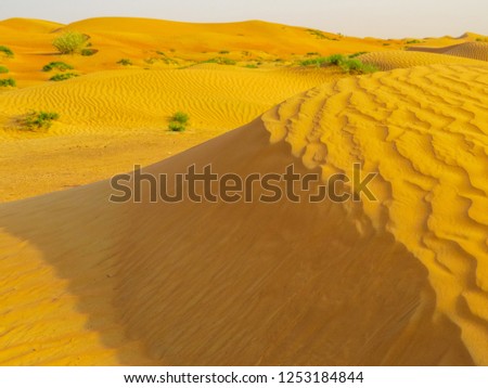 Dubai desert landscape 