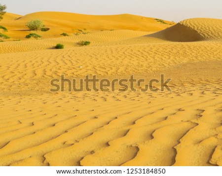 Dubai desert landscape 