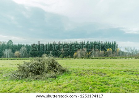 Accumulation of tree branches on green agricultural field with green pines and bare trees in background against cloudy blue sky, open esplanade, cloudy winter day in the Belgian Ardennes