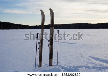 Hunting ski on the background of the winter landscape.