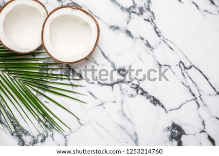 Tropical coconut and palm tree on marble background top view