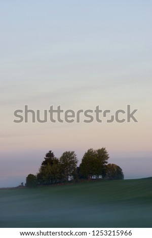 Beautiful peaceful early morning scenery with fog haze mist laying low over perfect green field in orange pink purple blue golden hour with contrast silhouettes of trees giving depth to the scene. 