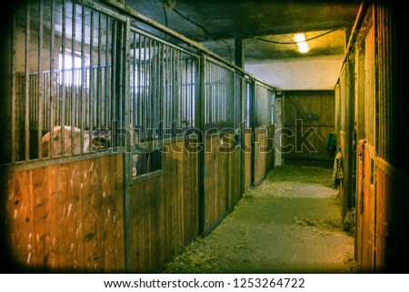Wooden horse stall