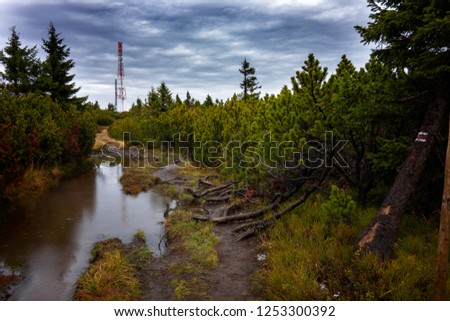 Mountain forest landscape under evening sky with clouds in sunlight.Natural outdoor travel background.Autumn mountain landscape in Slovakia.