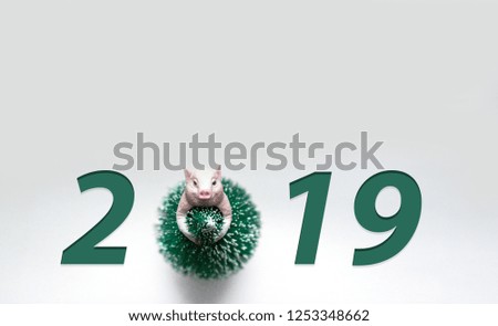 Gilt symbol of the new year 2019 in Christmas tree dress on white background smile 