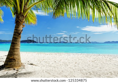 Green tree on  white sand beach. Malcapuya island, Palawan, Philippines. Royalty-Free Stock Photo #125334875
