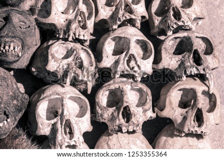 Black and White Picture of the Monkey Skulls on the Akodessewa Voodoo Fetish Market, Togo, Africa