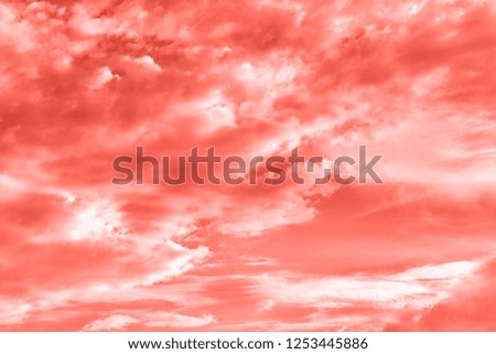 Sky with clouds, copy space. Living Coral background. Color of the year 2019. Nature heaven background