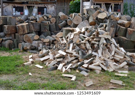 Firewood wooden logs chopped trunks stacked pile drying for winter fireplace background. A pile of chopped firewood ready for stacking. Background of wooden logs and cutted trunks