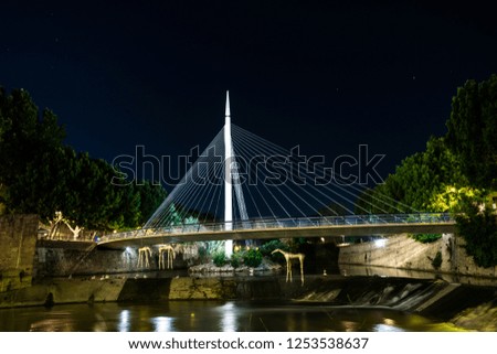 Image of an illuminated night suspension bridge, with structures hanging from him in the form of a horse. Below the bridge passes the river where there are some ducks. In the picture you see stars too