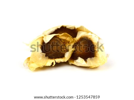 Moringa Oleifera Medicinal and Culinary Fruit Seed Closeup Isolated on White Background. Also Known as Drumstick Tree, Horseradish Tree, and Ben Oil or Benzoil Tree.
