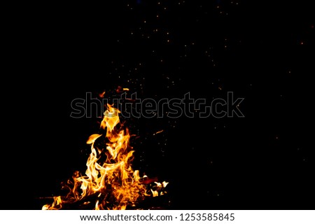Burning woods with firesparks, flame and smoke. Strange weird odd elemental fiery figures on black background. Coal and ash. Abstract shapes at night. Bonfire outdoor on nature. Strenght of element