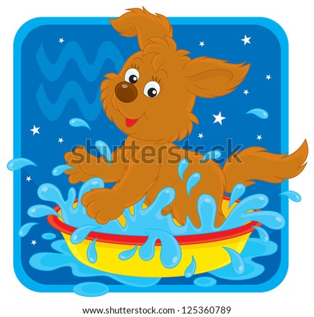Zodiac sign of Aquarius as a funny pup splashing in a basin with water