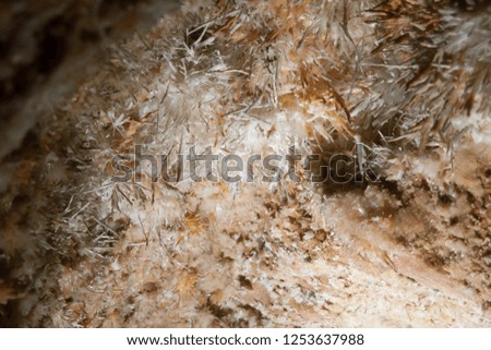 Natural abstract with a cave flower